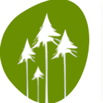 VDR logo