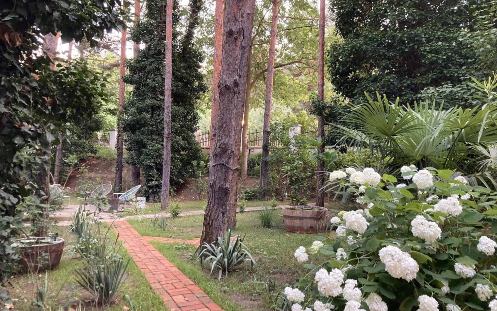 Photo: Villa Dunavski raj garden