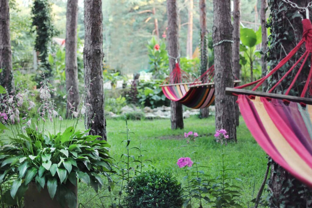 Photo: Villa Dunavski raj garden