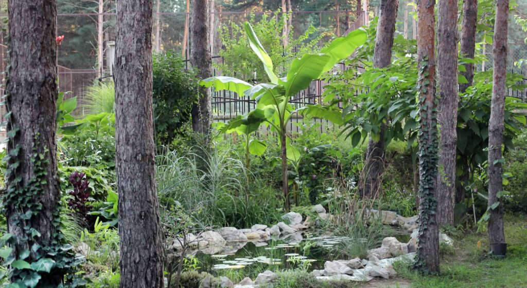 Photo: Villa Dunavski raj garden