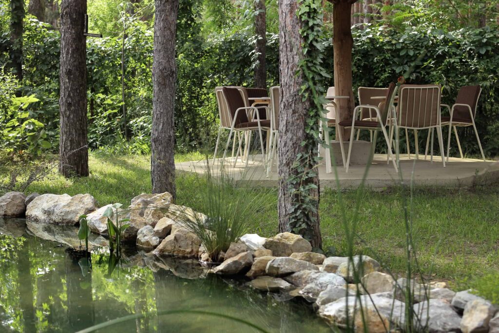 Photo: Villa Dunavski raj garden