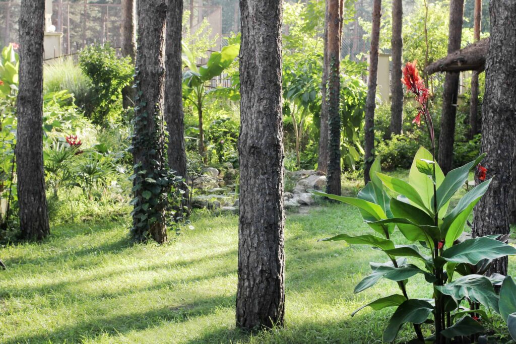 Photo: Villa Dunavski raj garden