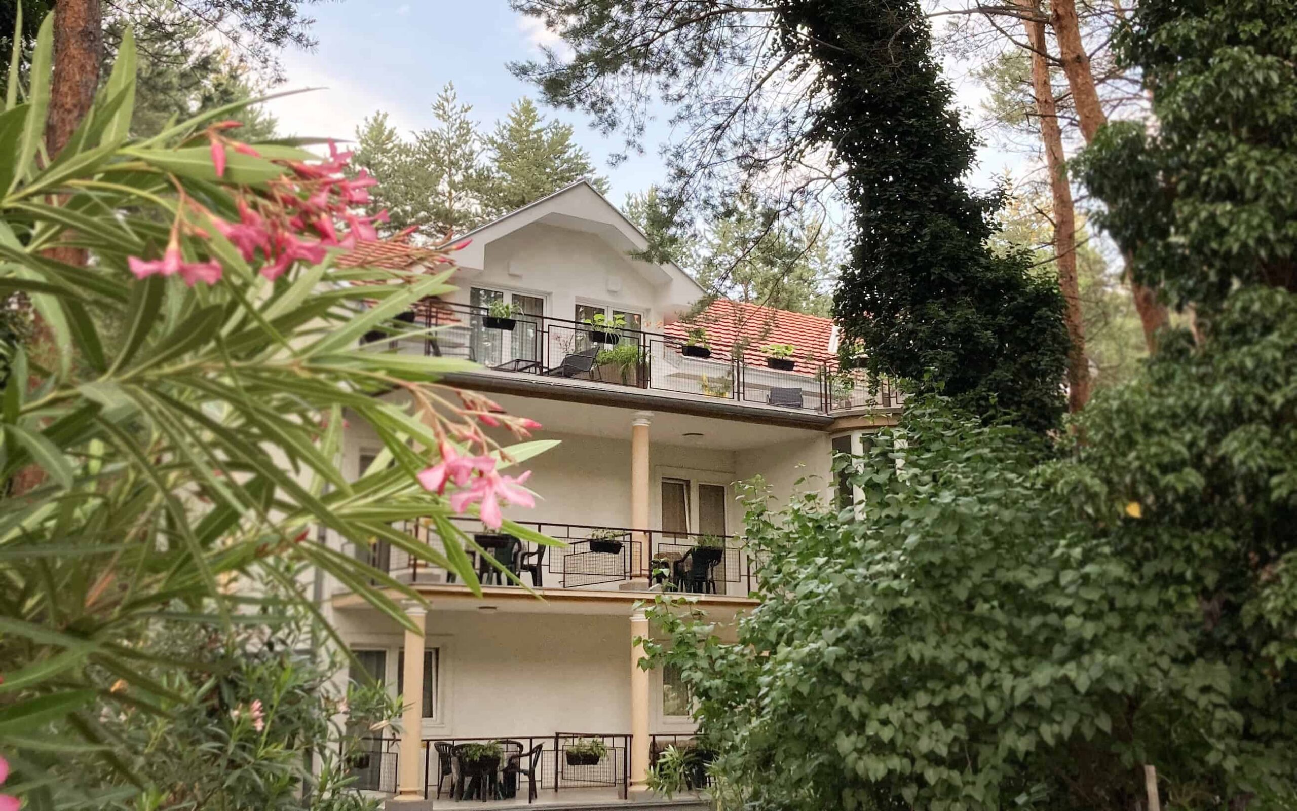 Photo: Villa Dunavski raj garden