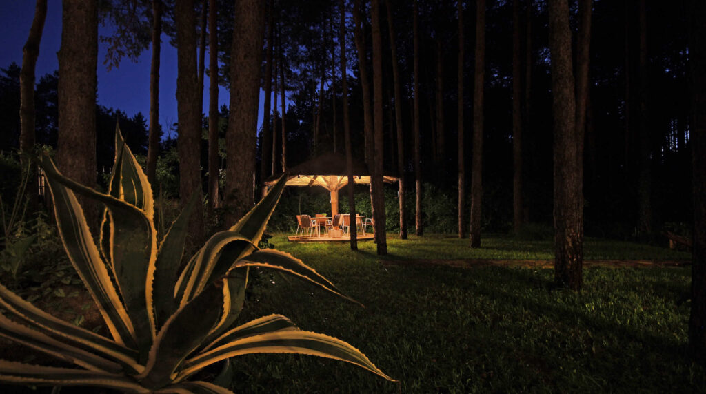 Photo: Vila Dunavski raj - garden, night view