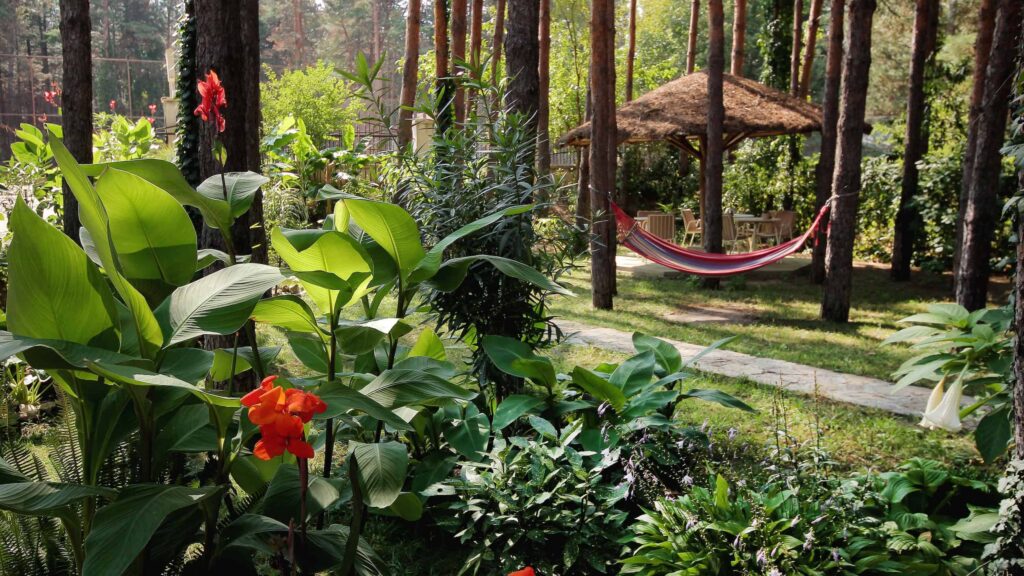 Photo: Vila Dunavski raj - garden