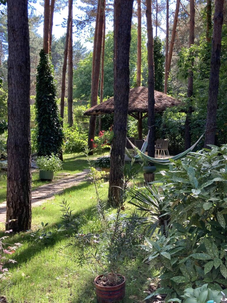 Photo: Villa Dunavski raj garden